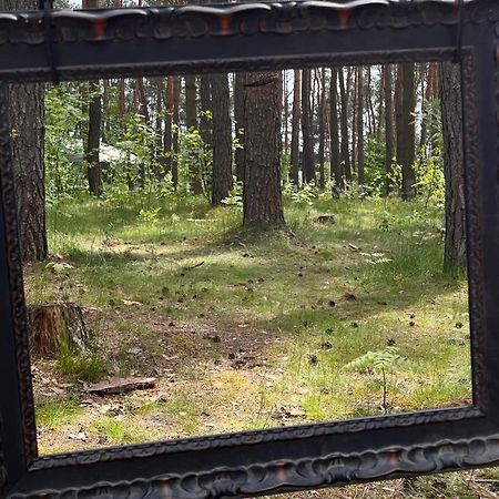 Gora Spokoju Osada Klimatyczna-Lesna Inowlodz Экстерьер фото