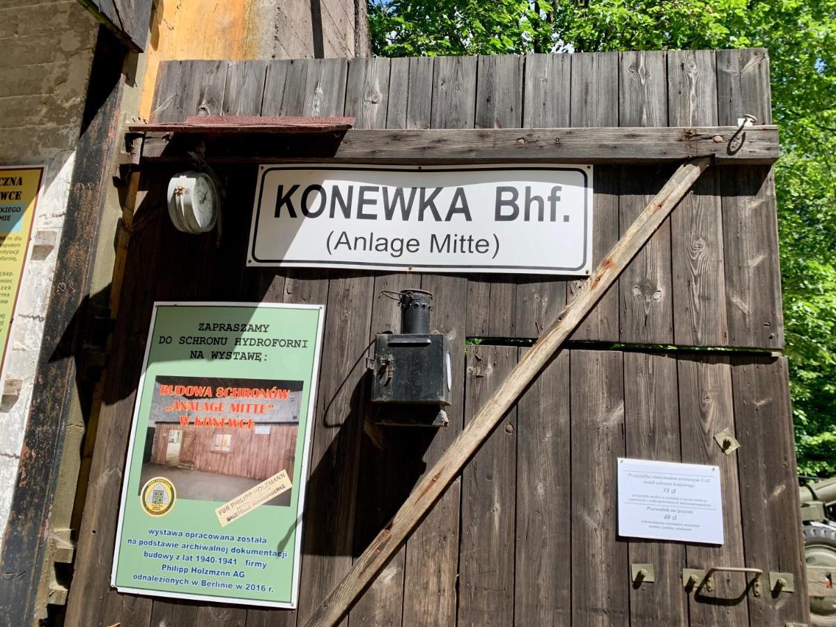 Gora Spokoju Osada Klimatyczna-Lesna Inowlodz Экстерьер фото