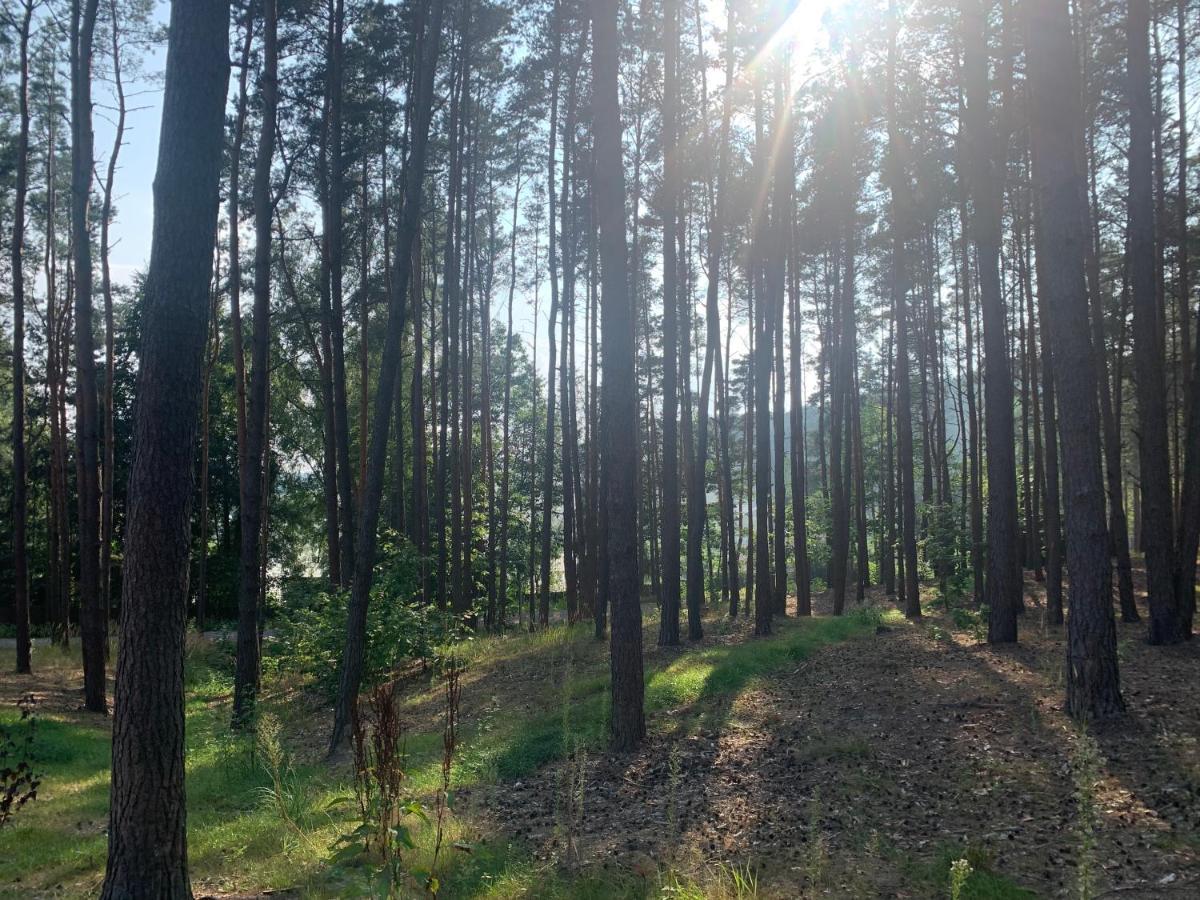 Gora Spokoju Osada Klimatyczna-Lesna Inowlodz Экстерьер фото