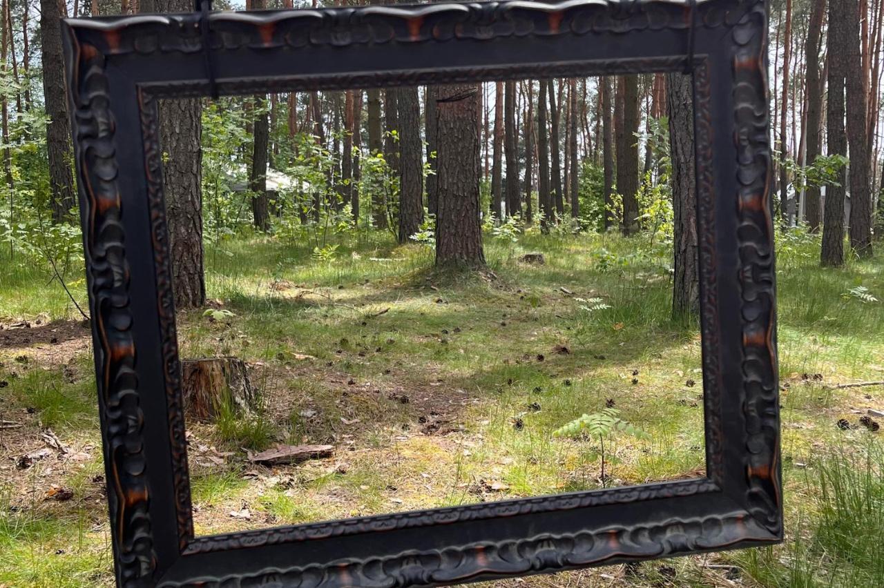 Gora Spokoju Osada Klimatyczna-Lesna Inowlodz Экстерьер фото